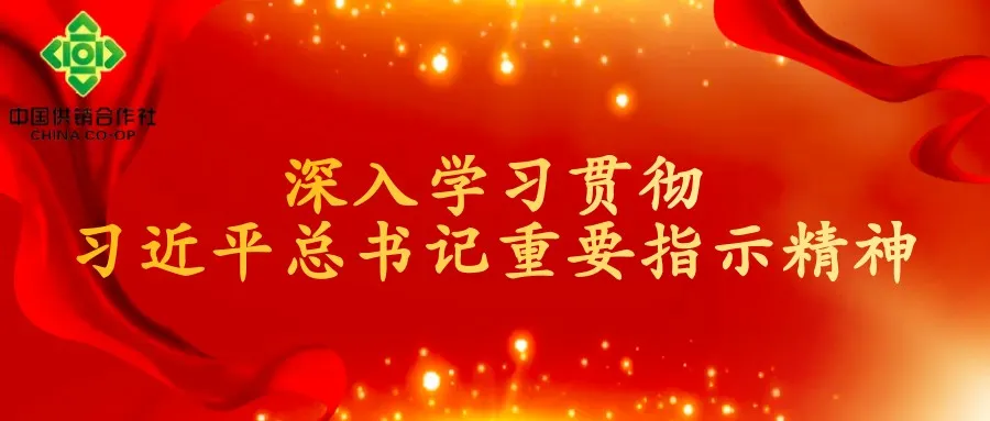深入学习贯彻习近平总书记重要指示精神