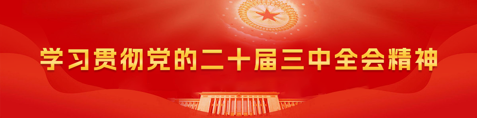 学习贯彻党的二十届三中全会精神