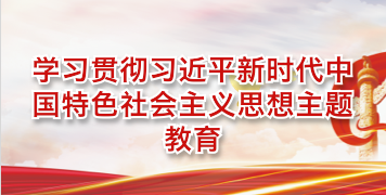 学习贯彻习近平新时代中国特色社会主义思想主题教育